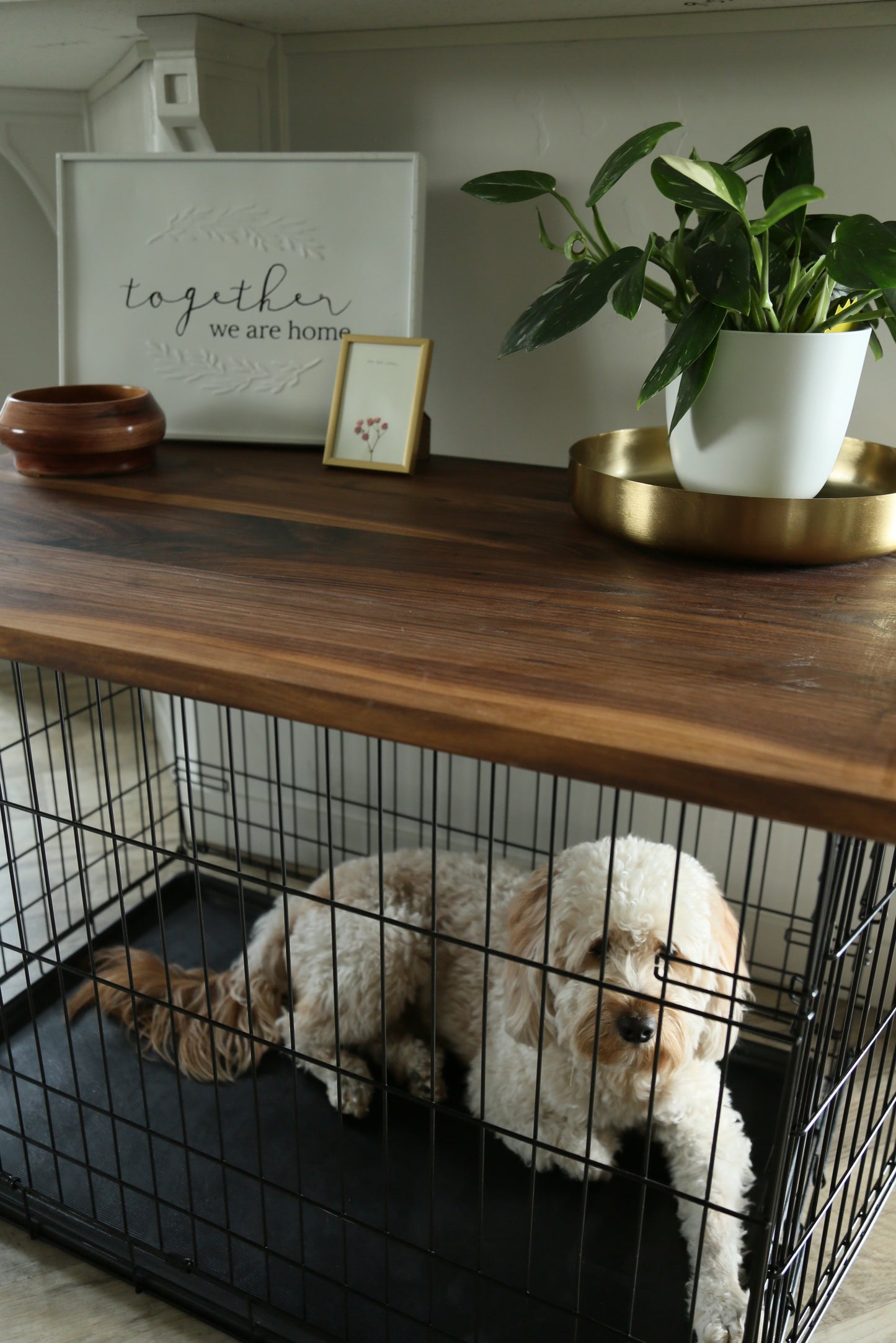 Custom Dog Kennel Topper